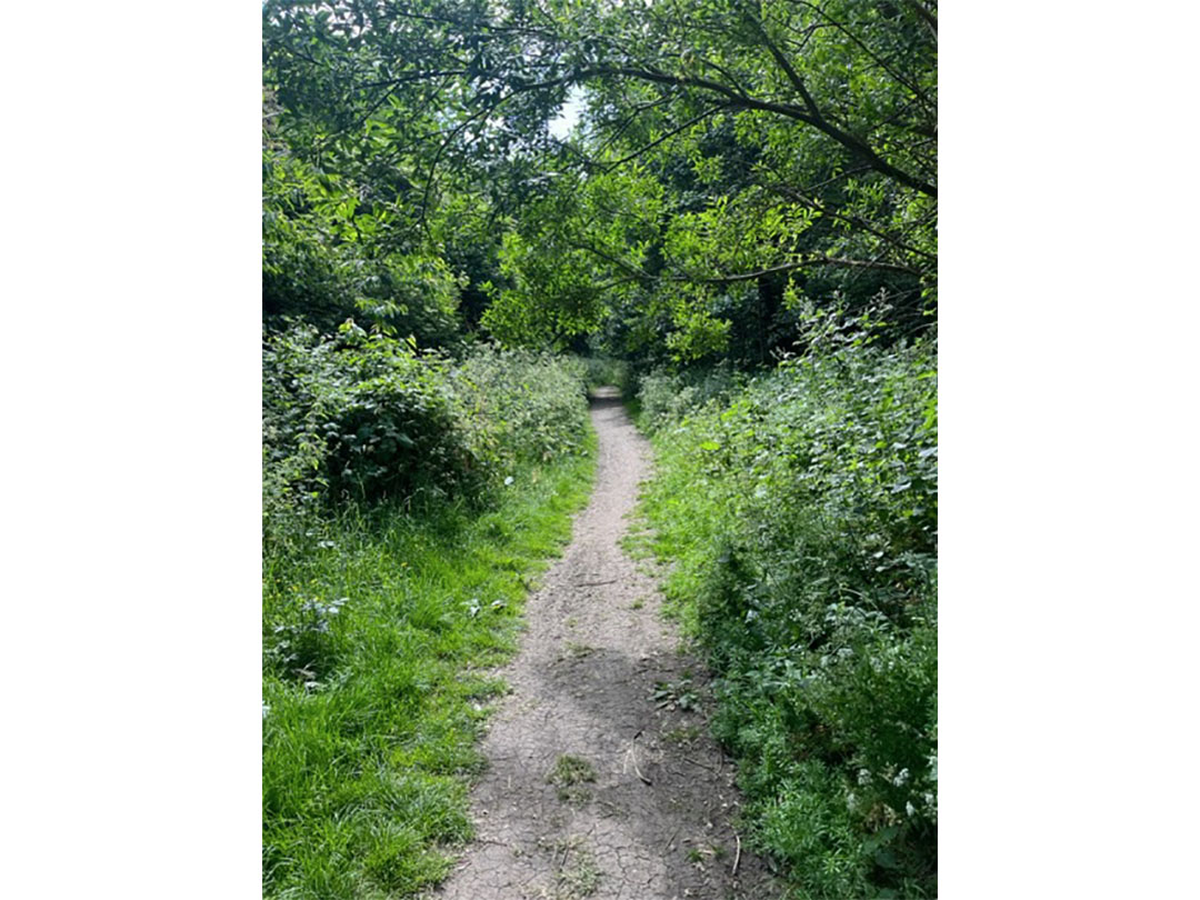 Willenhall Greenway Before Installing Footpath